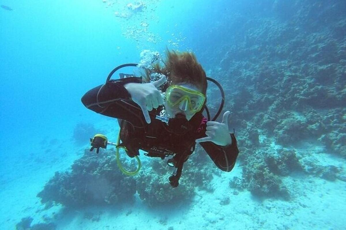 ダイバーと一緒に海で泳いでいる人