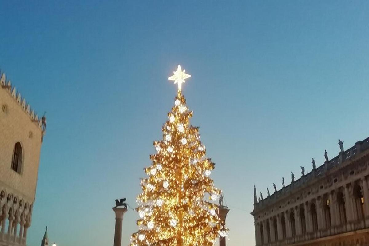 un arbre de Nadal amb una estrella a sobre