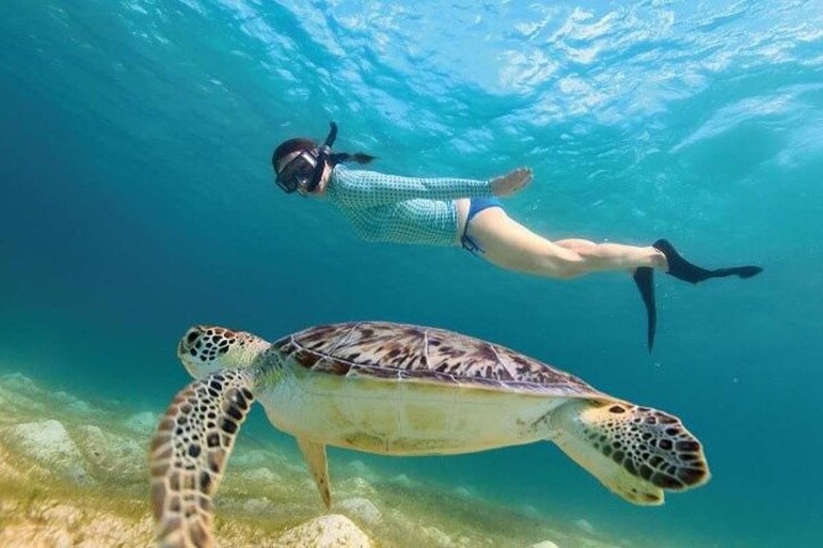 oseba, ki plava poleg želve v oceanu