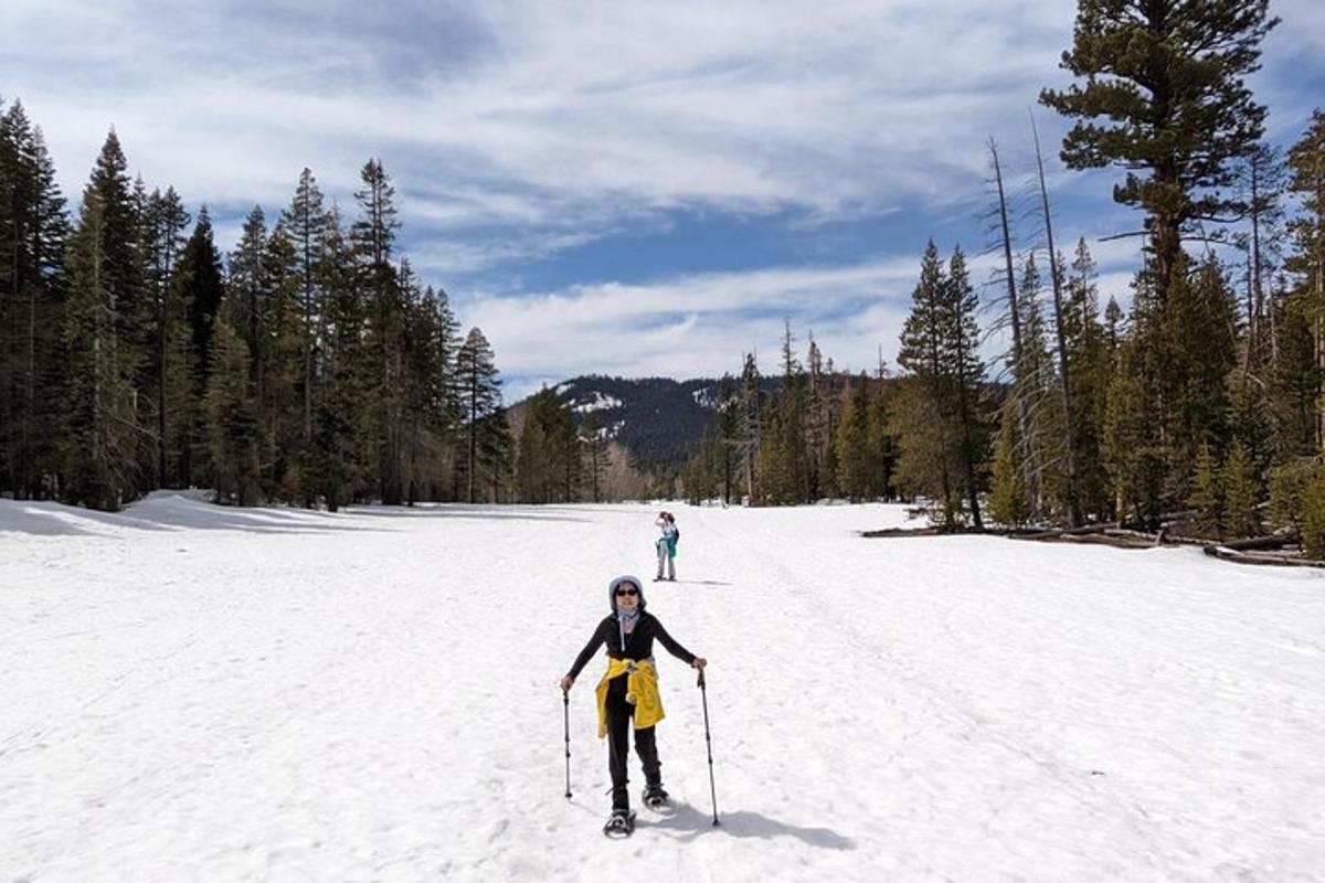 a woman is cross country skiing in the snow