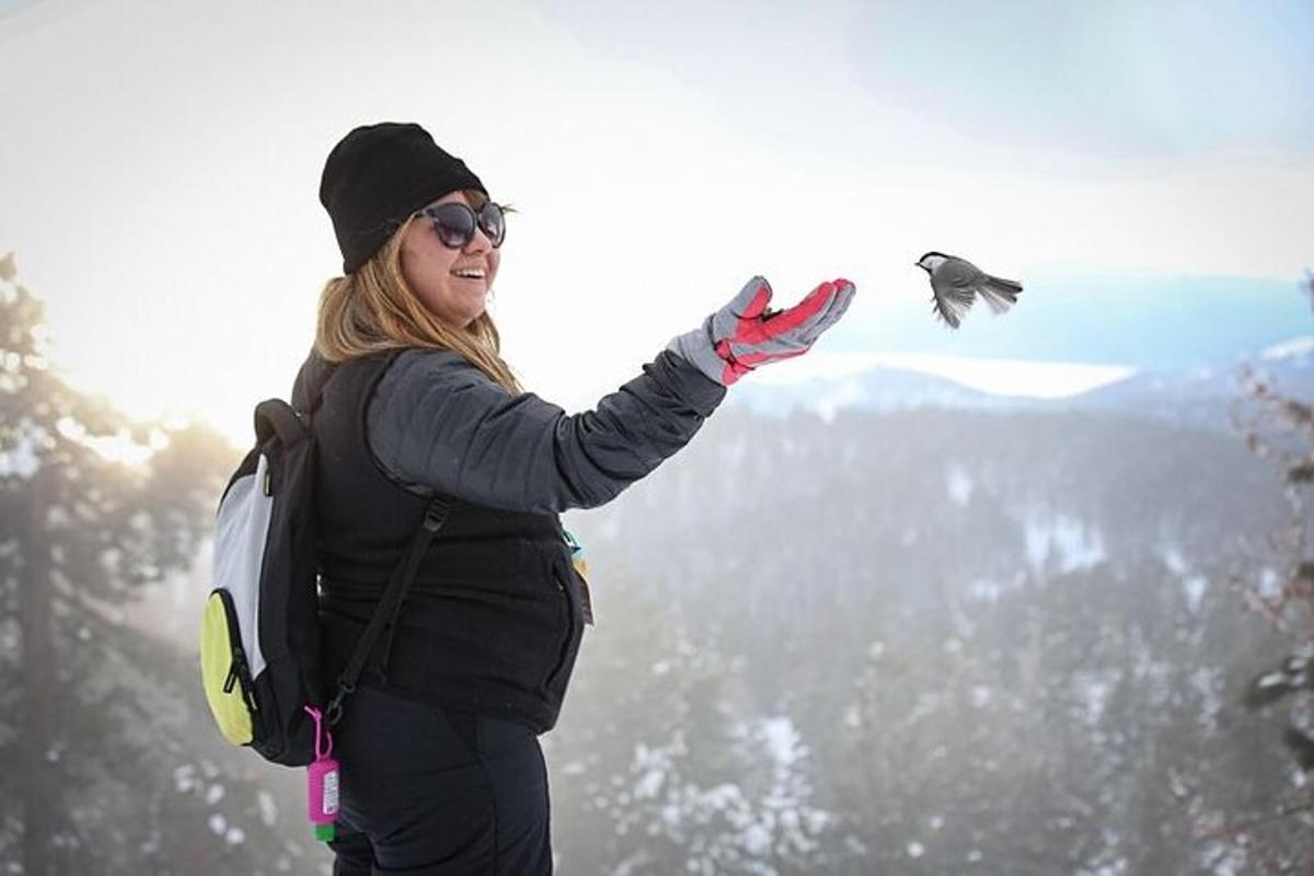 a woman standing on top of a mountain flying a bird