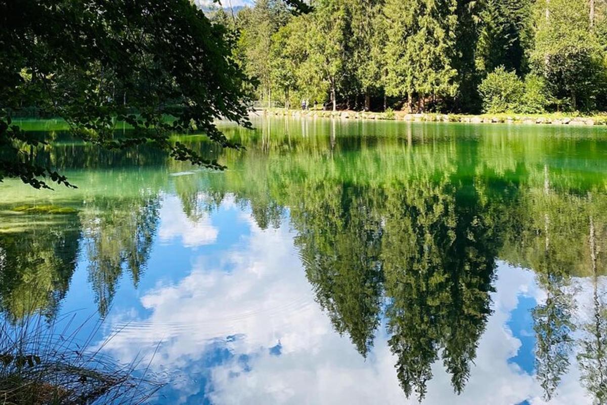 tasik dengan pantulan pokok di dalam air