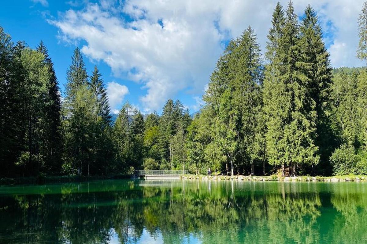 pemandangan tasik dengan pokok-pokok di latar belakang