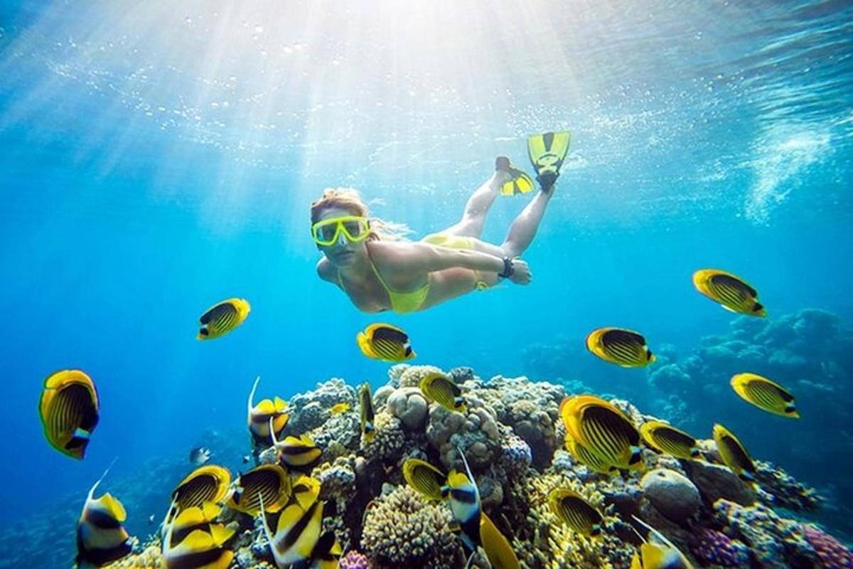 un uomo che nuota su una barriera corallina con i pesci