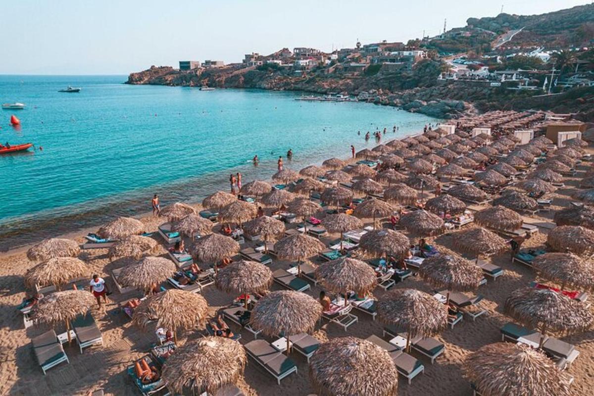 a bunch of umbrellas on a beach with the ocean