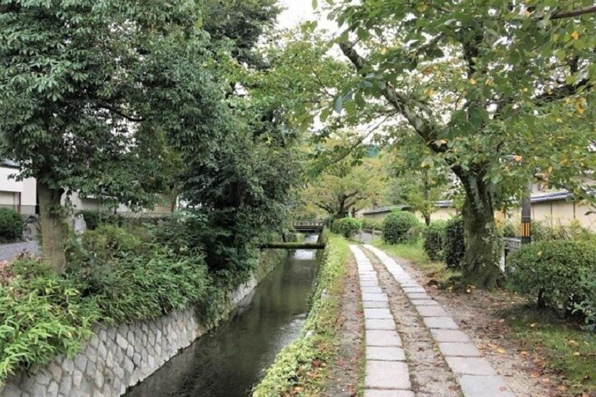 un canale con un sentiero di pietra accanto a un fiume