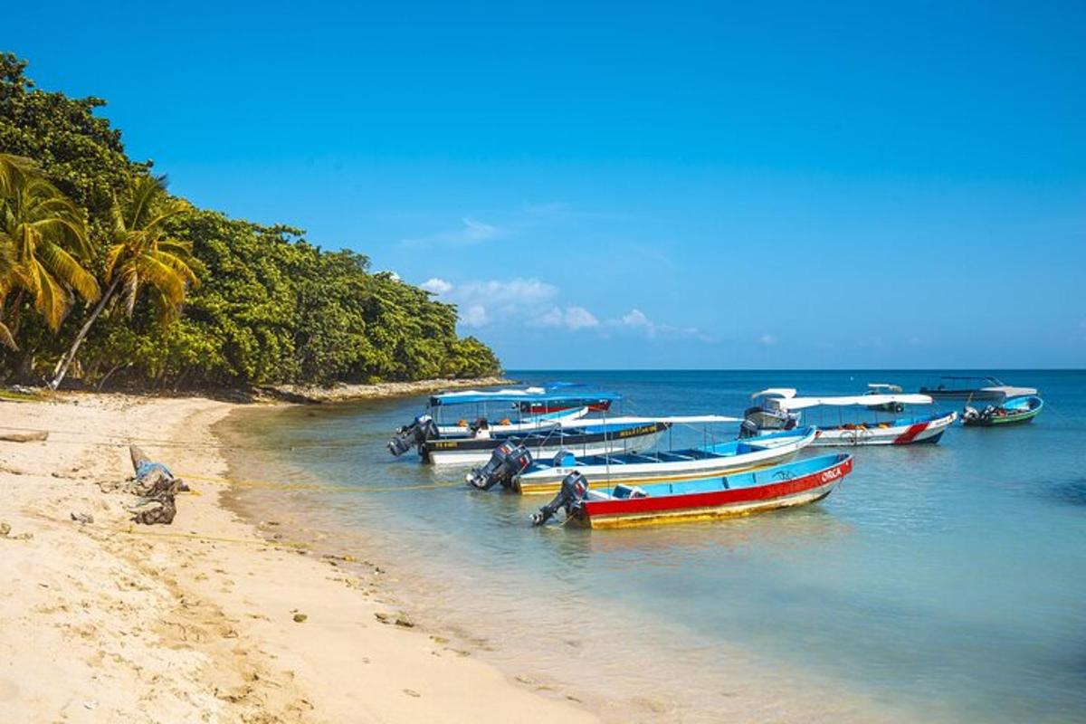a group of boats in the water on a beach