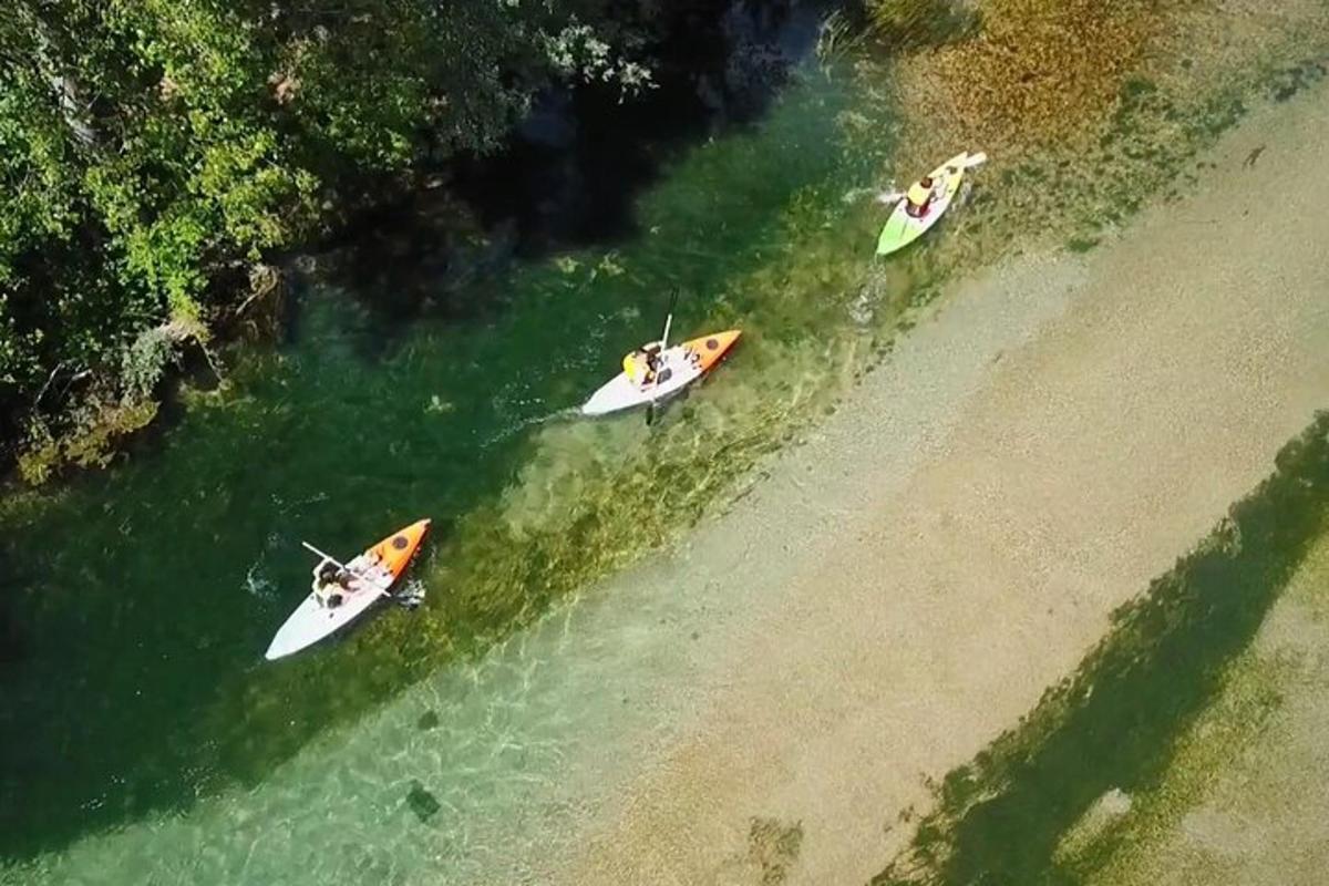 three people are standing in the water with their surfboards