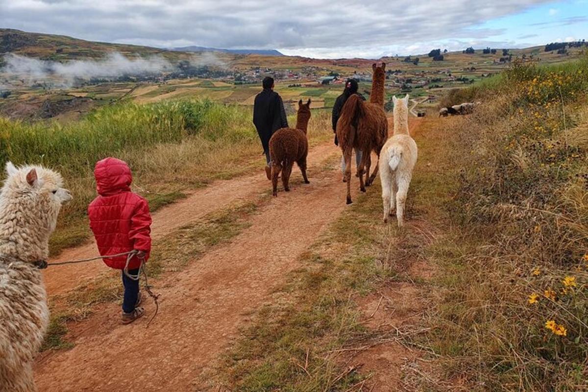 un grup de persones caminant per un camí de terra amb animals