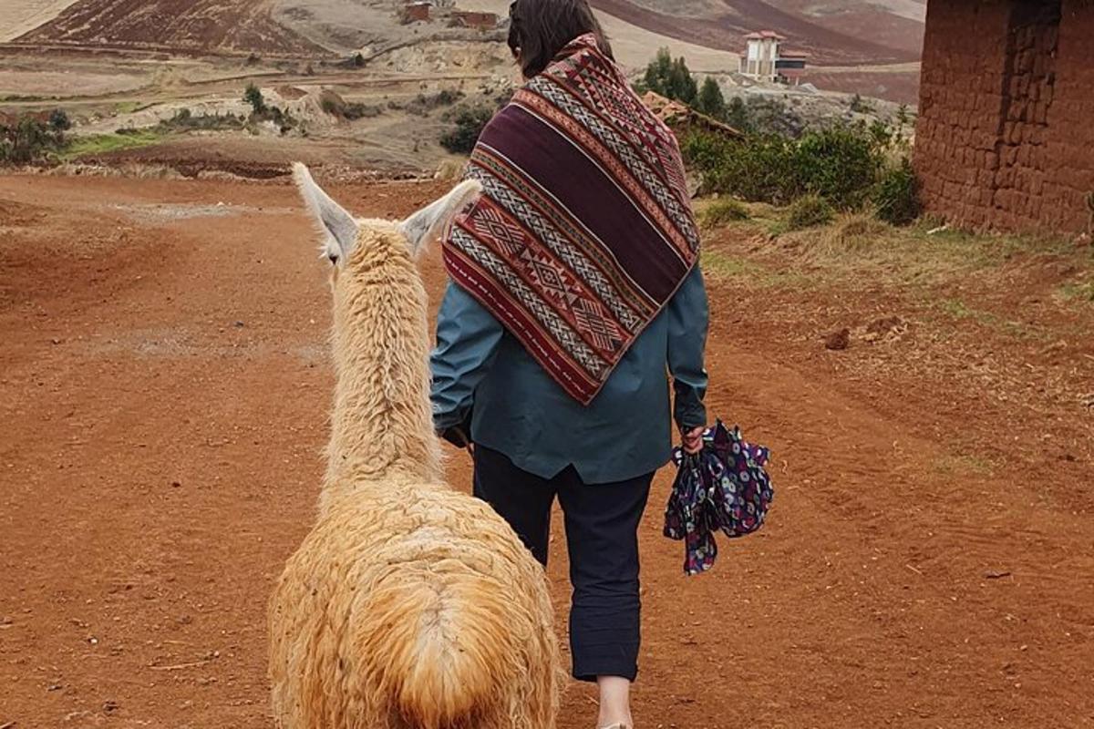 امرأة تمشي على طريق ترابي مع لاما