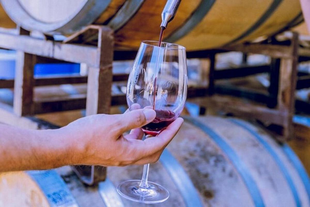 una persona tiene in mano un bicchiere di vino