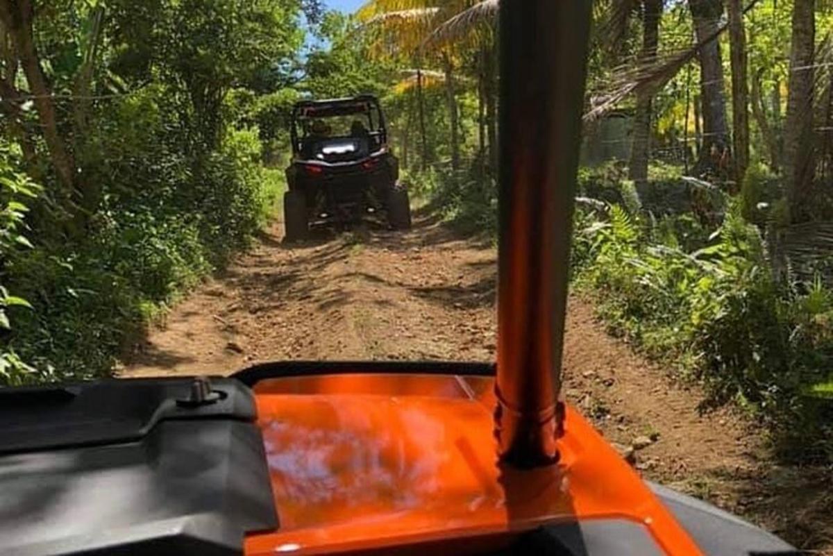 một chiếc xe jeep đang chạy trên con đường đất trong rừng rậm