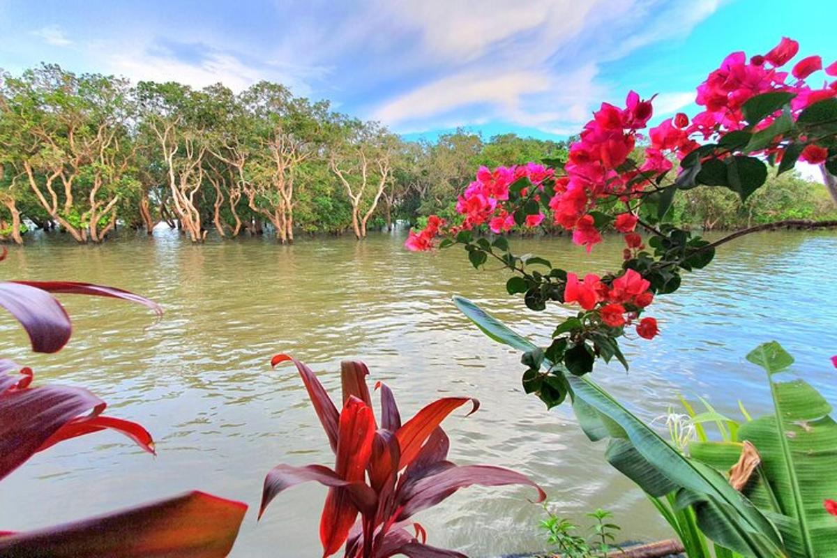una vista di uno specchio d'acqua con fiori