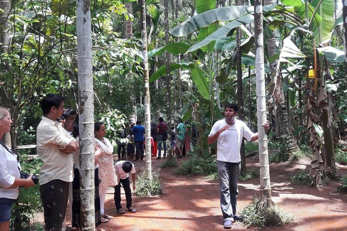 Un grupo de personas de pie en un bosque.