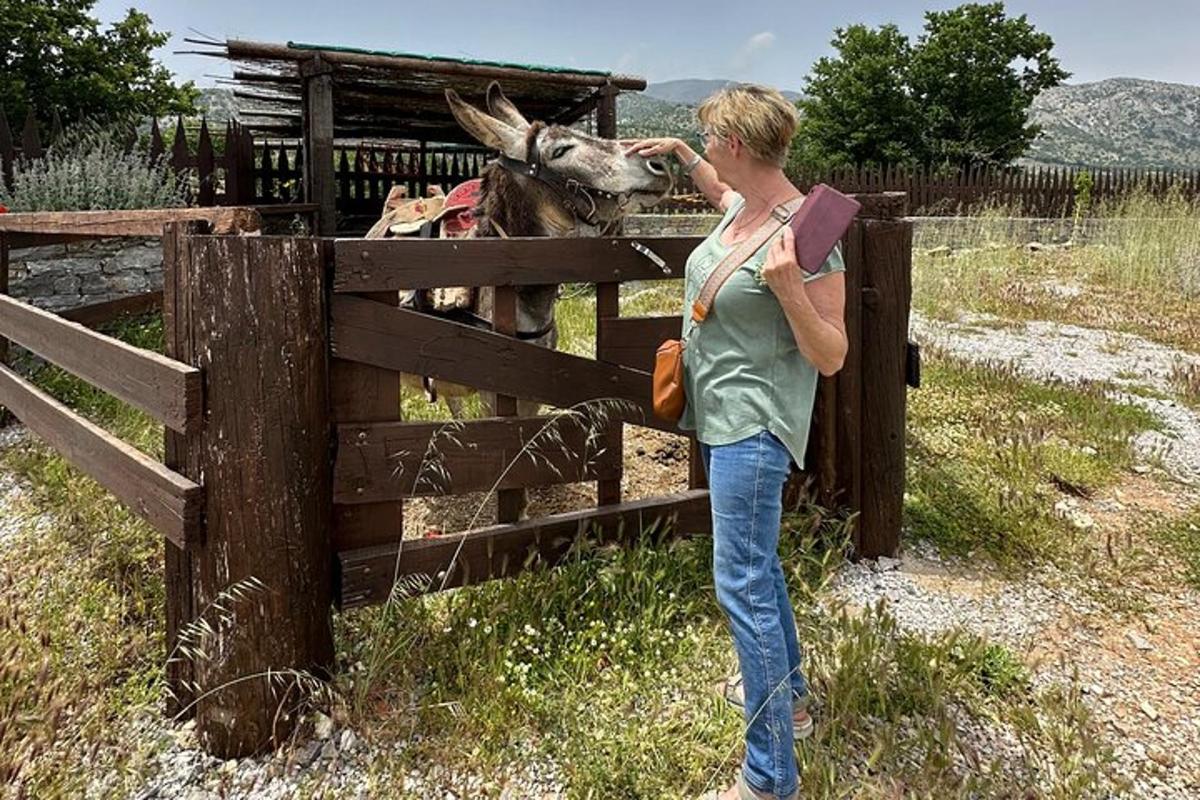 uma mulher parada perto de uma cerca com um burro