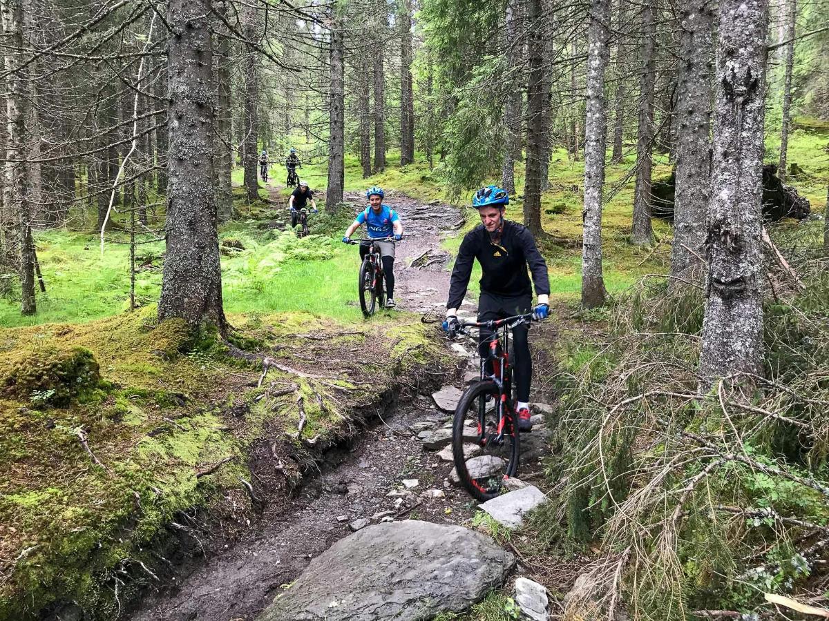 dues persones anant en bicicleta per un sender al bosc