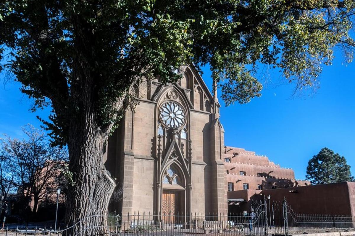 a large church with a tree in front of it