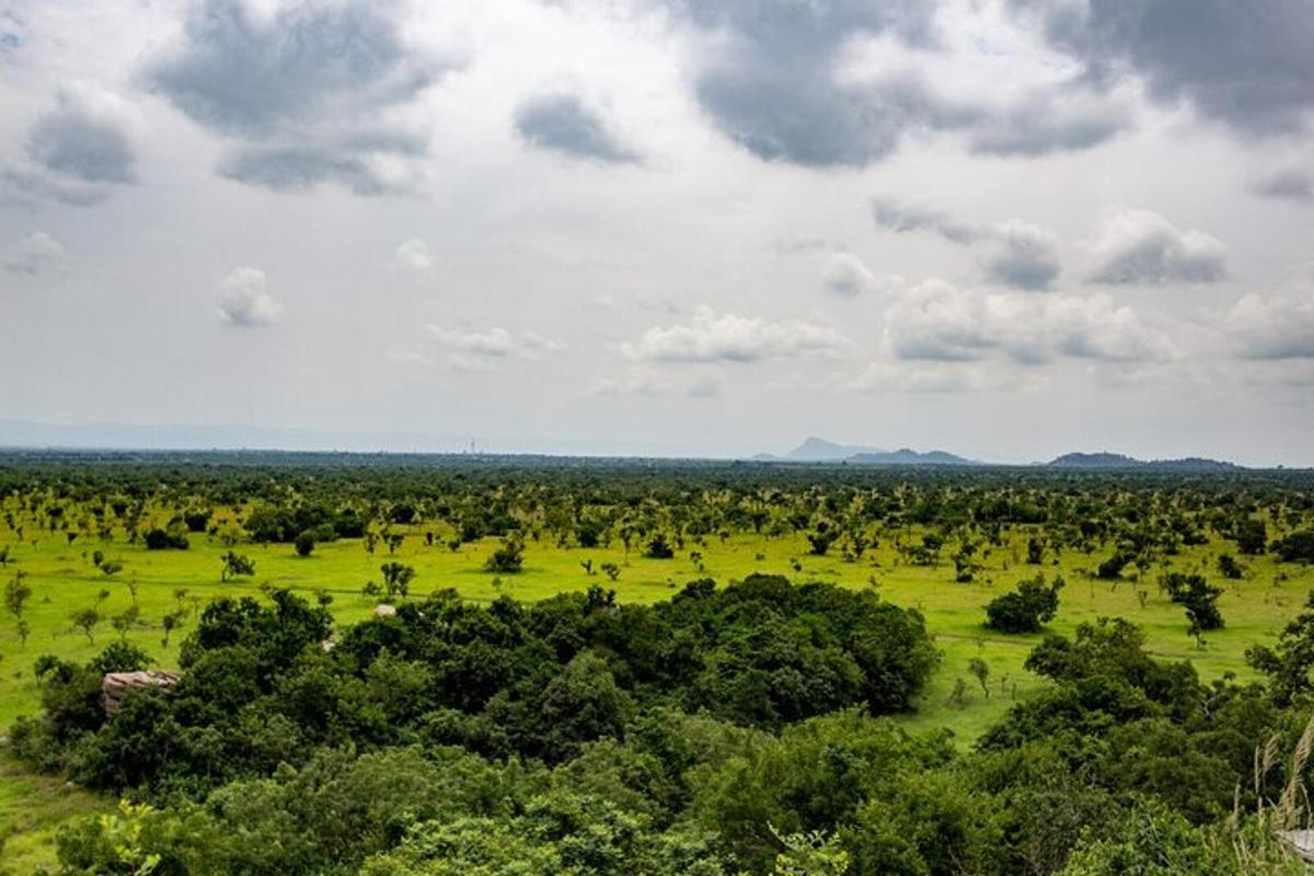 un campo aperto con alberi e nuvole nel cielo
