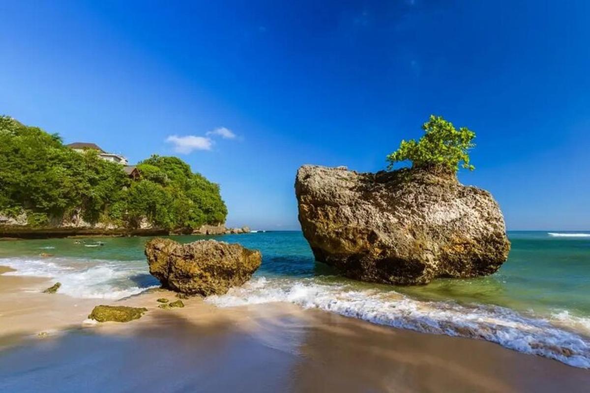 a rock with a tree on top of it on a beach