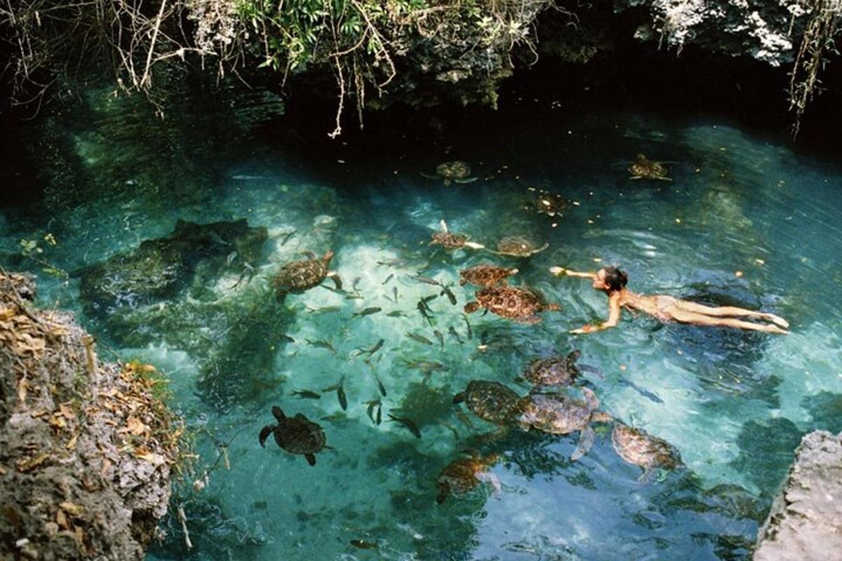muž plave v bazénu s želvami