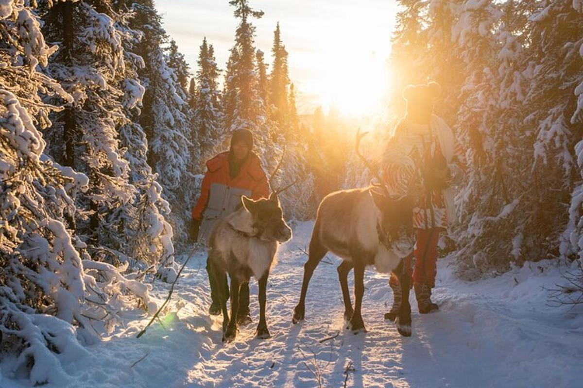 duas pessoas passeando com duas vacas na neve