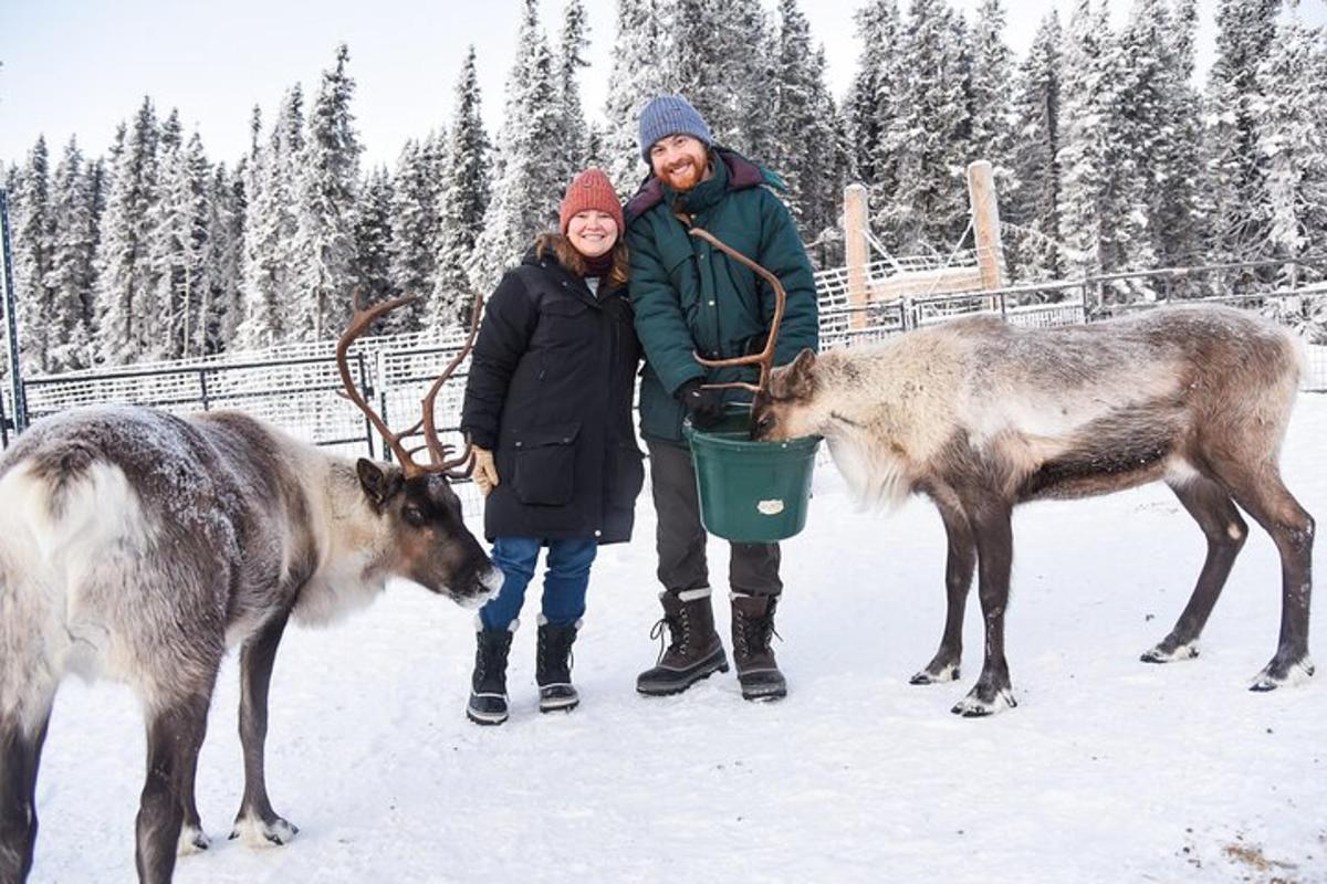 um homem e uma mulher em pé ao lado de dois veados na neve
