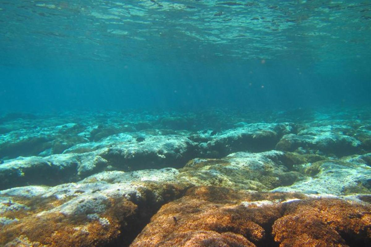 een groot waterlichaam met veel koraal