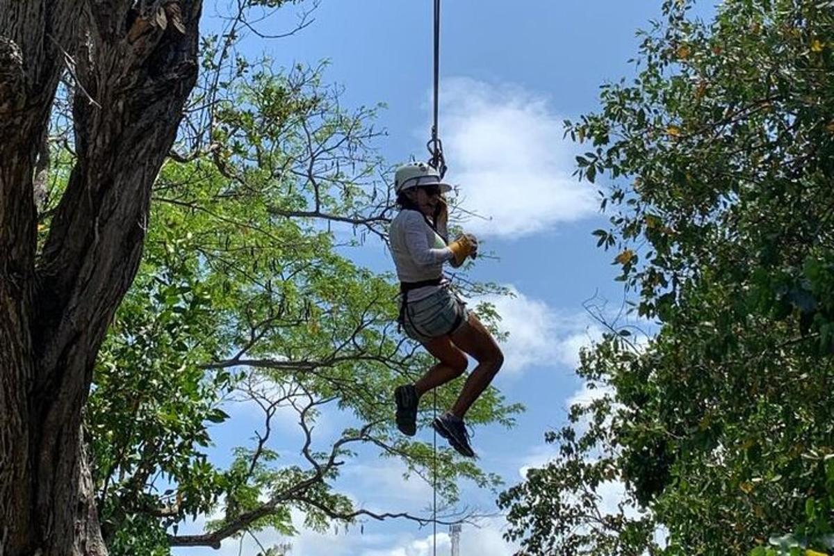 une personne suspendue à une corde dans un arbre