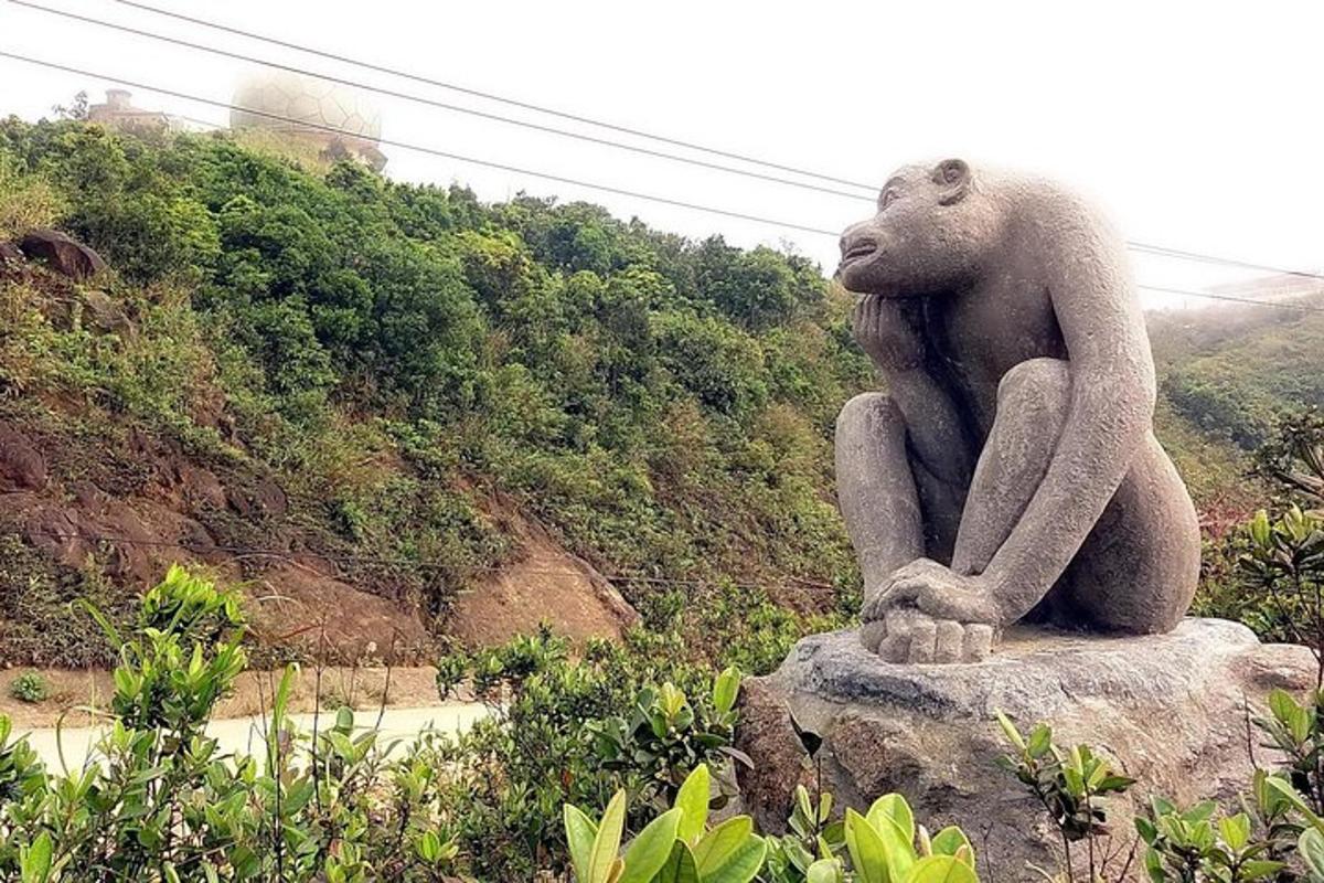 岩の上に座っているクマの像