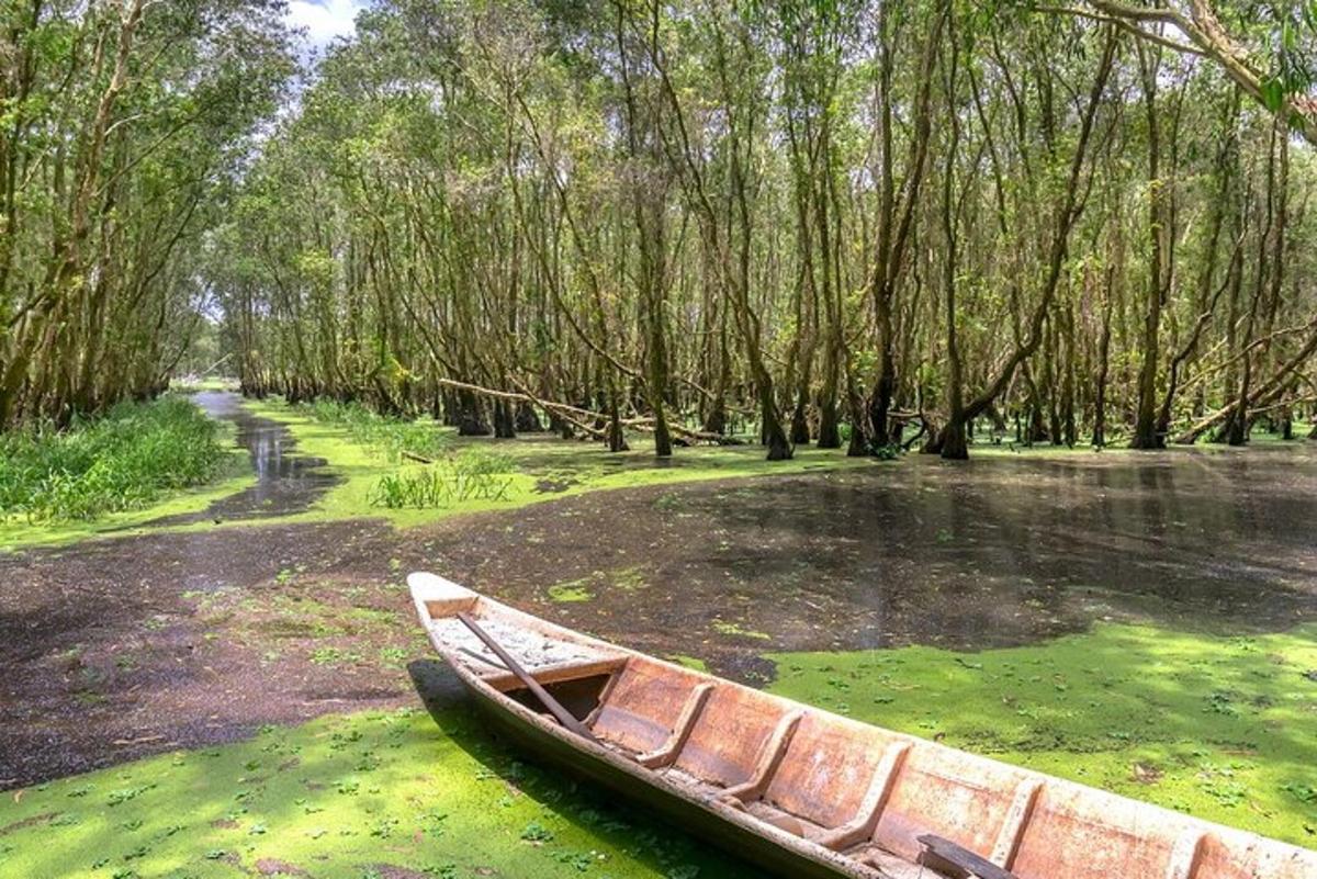 un vaixell de fusta assegut a l'herba en un bosc