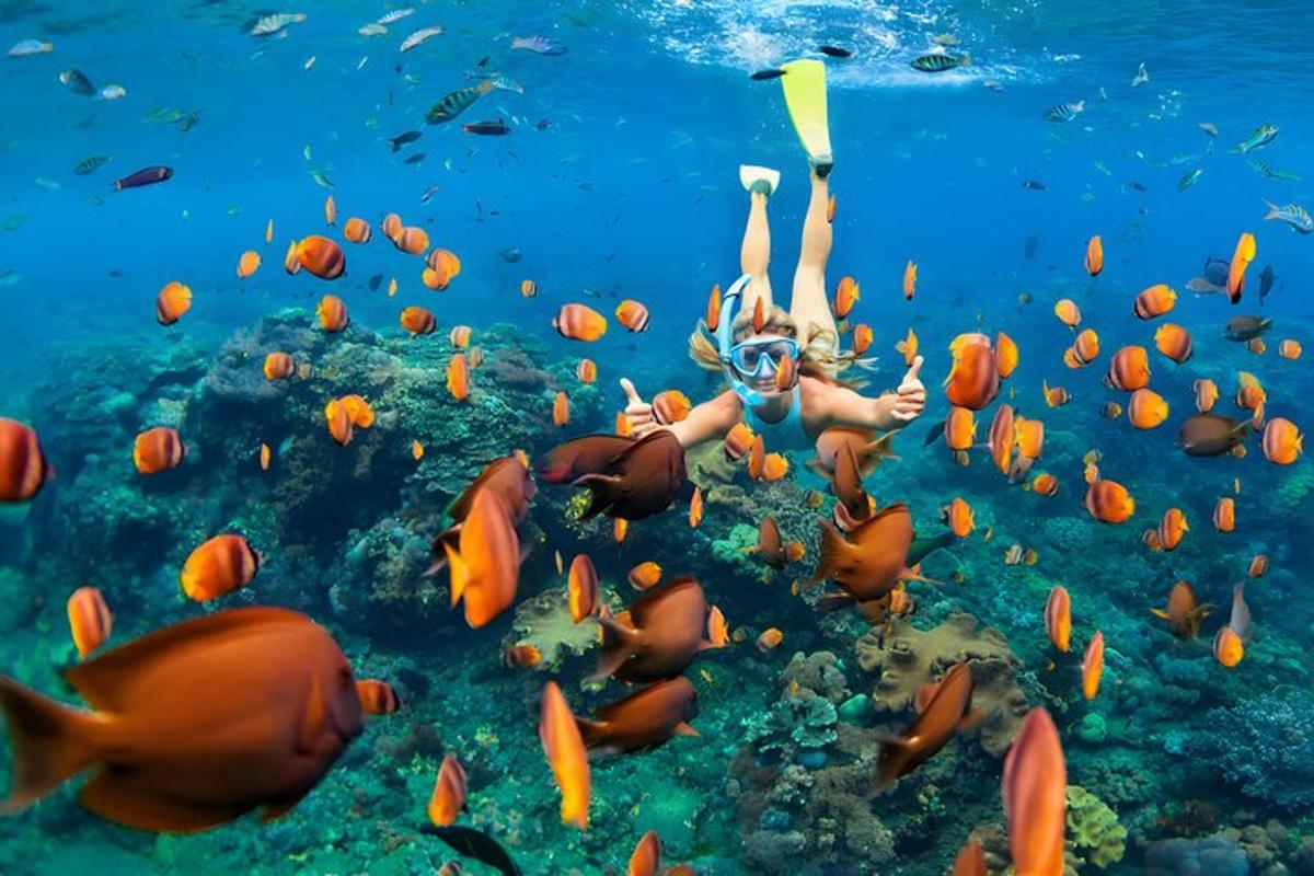 žena plave v oceánu s hejnem ryb