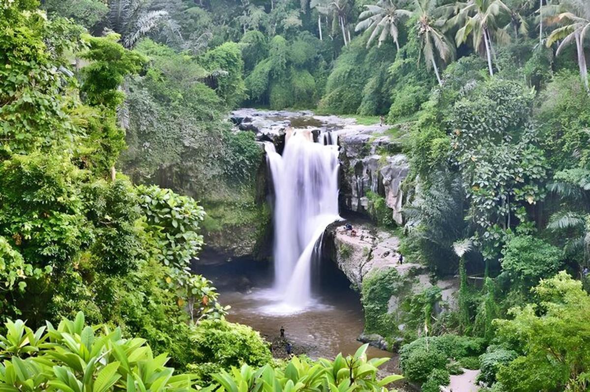 uma cachoeira no meio da selva