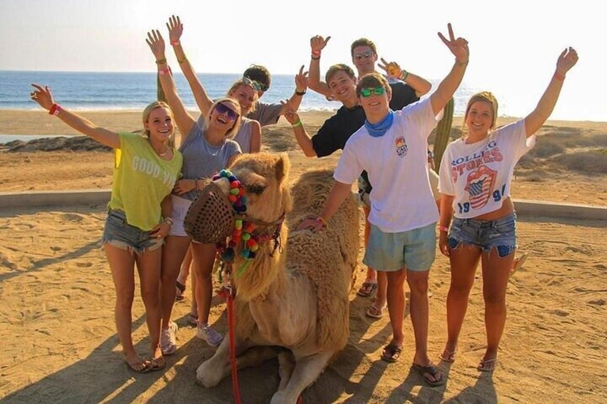 a group of people standing on the beach with a camel