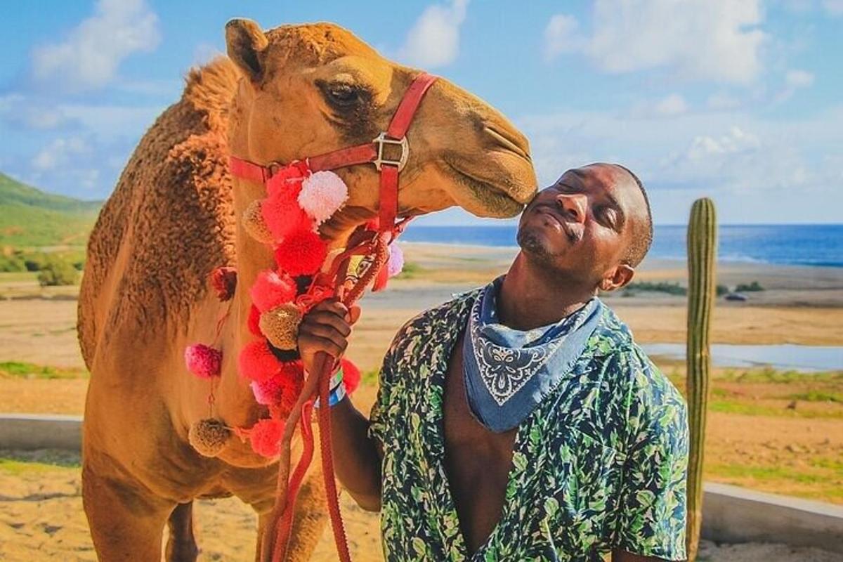 a man is standing next to a cow