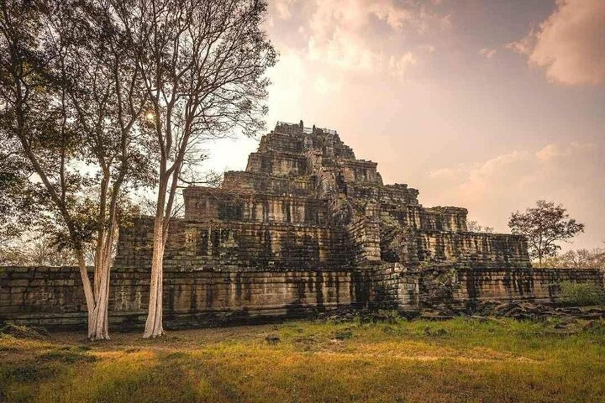 un grande edificio in un campo con alberi di fronte