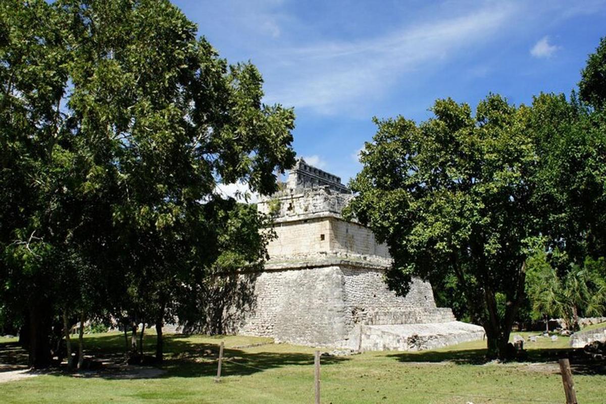 um antigo edifício de pedra em um parque com árvores