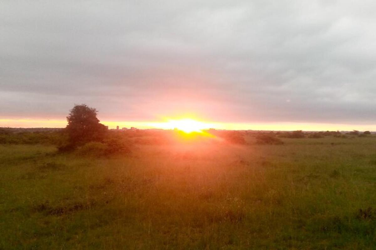 Una puesta de sol en un campo con el sol poniéndose