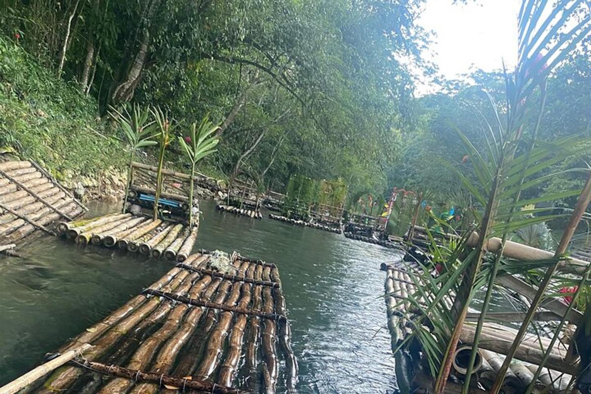dua bot berlabuh di sungai dengan pokok