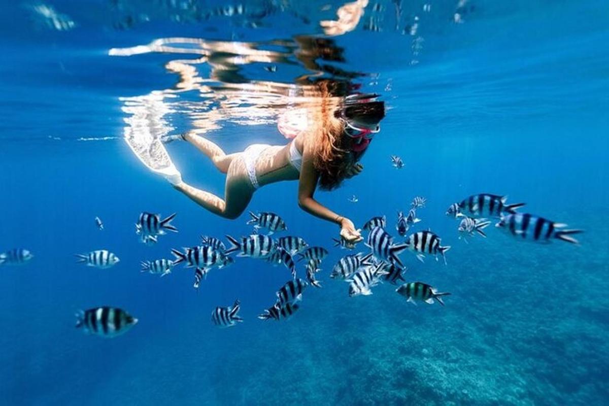a woman swimming in the water with fish