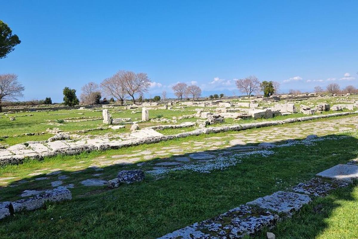 una vista di un cimitero con un fiume