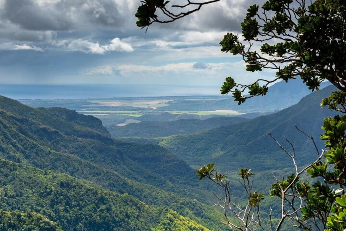 a view of a valley in the mountains