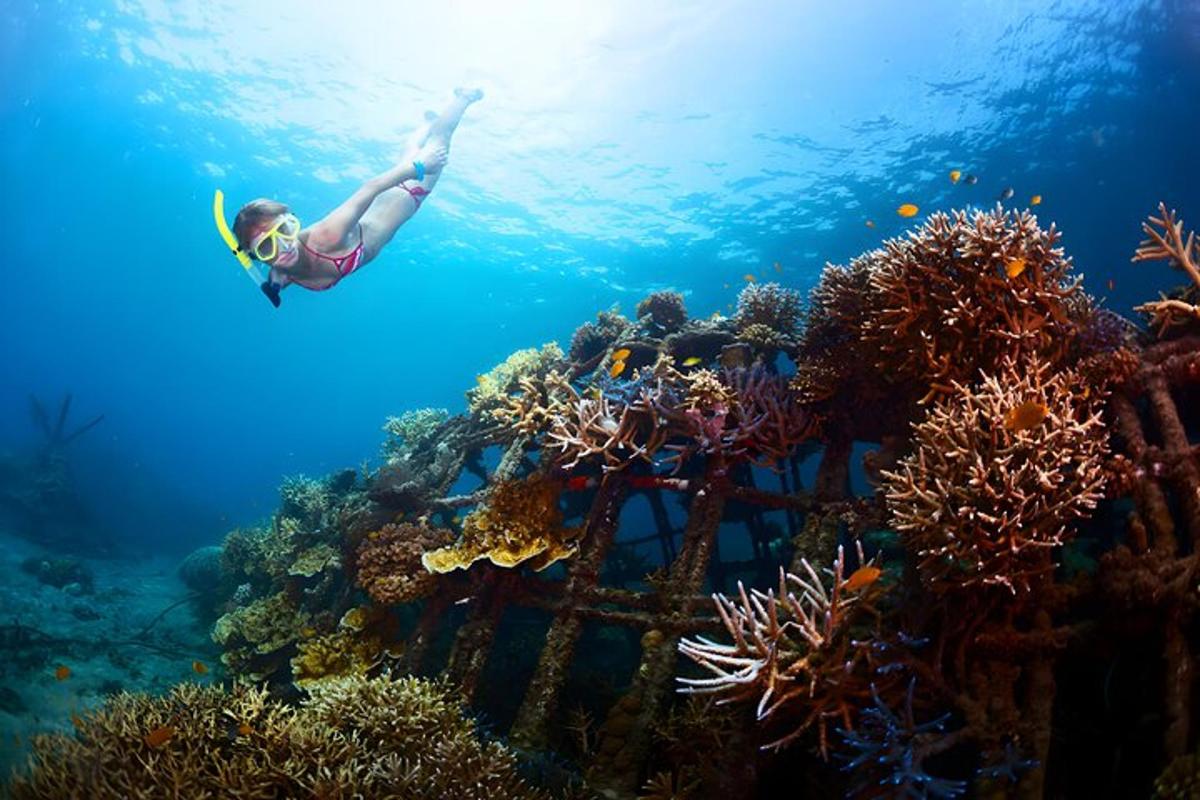 a woman is swimming over a coral reef