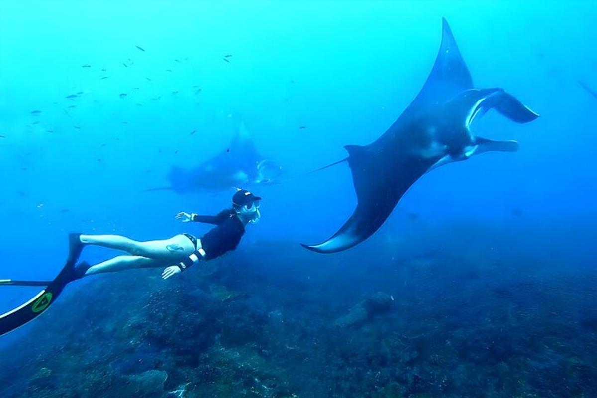 una persona nadando en el océano con una raya
