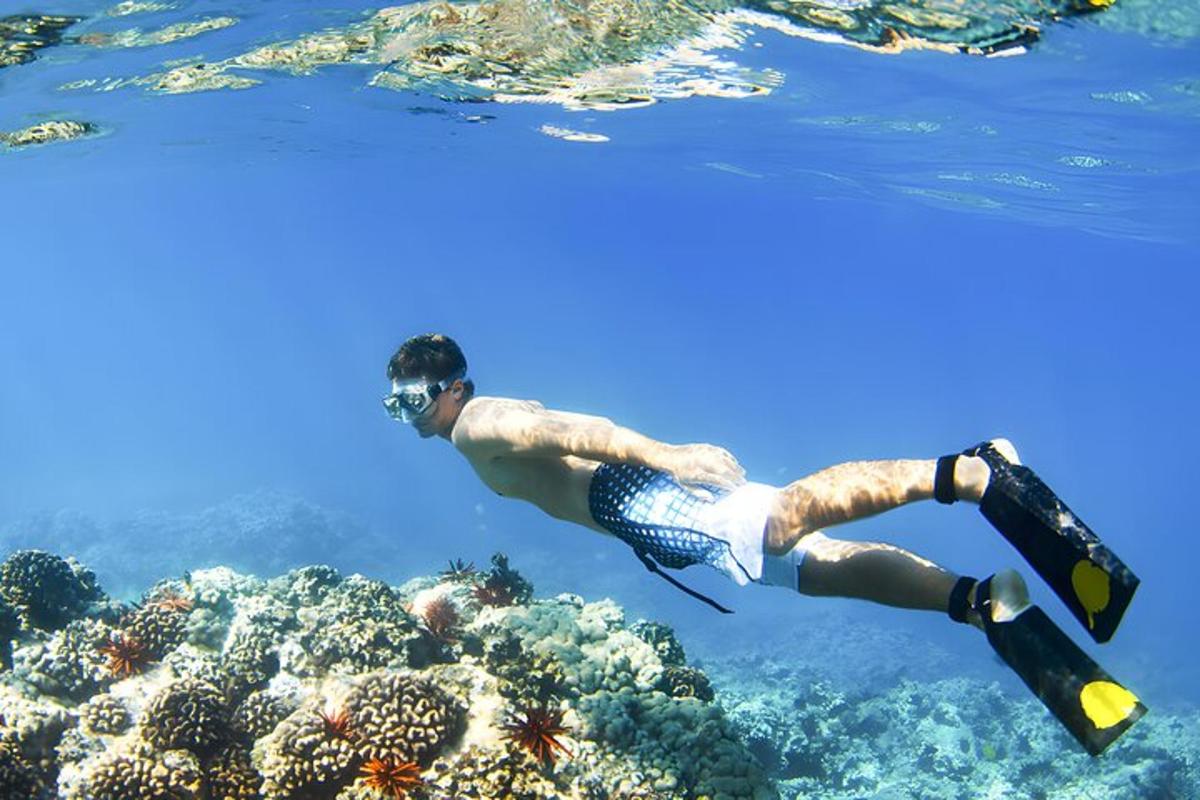 a man in the water swimming over a coral reef