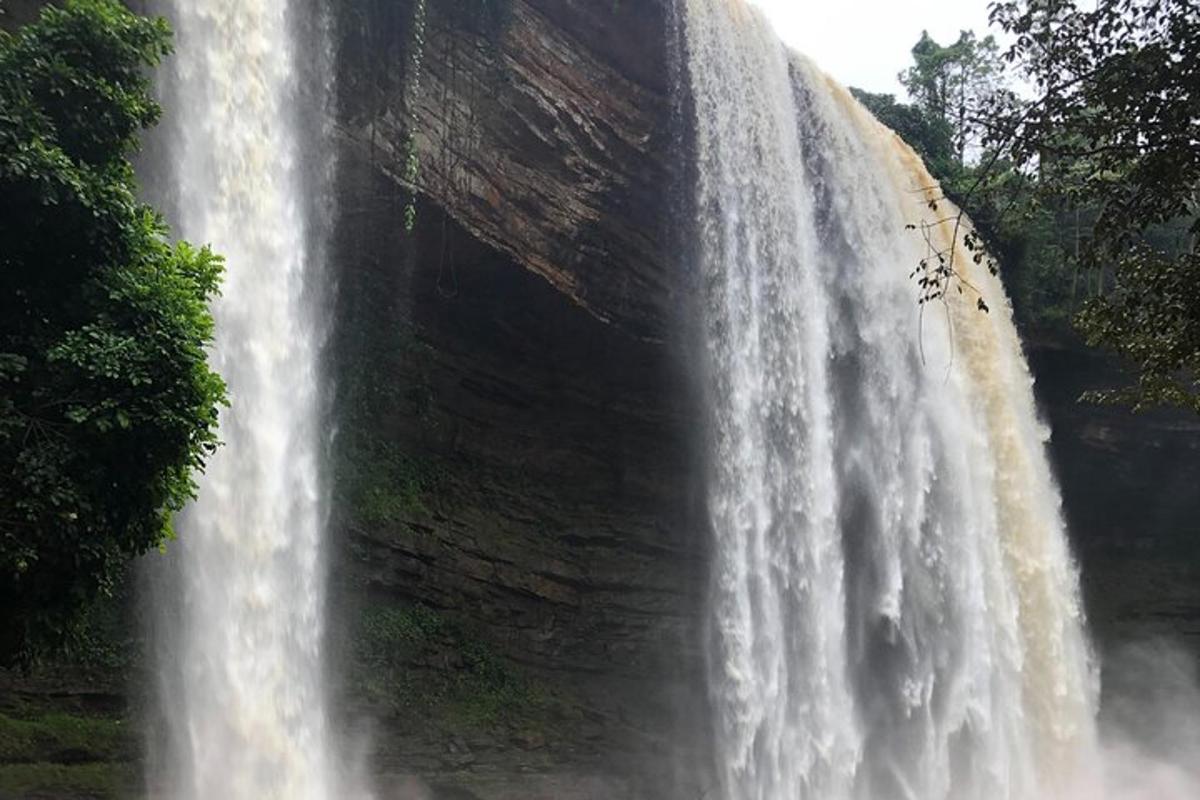a waterfall in the middle of a forest