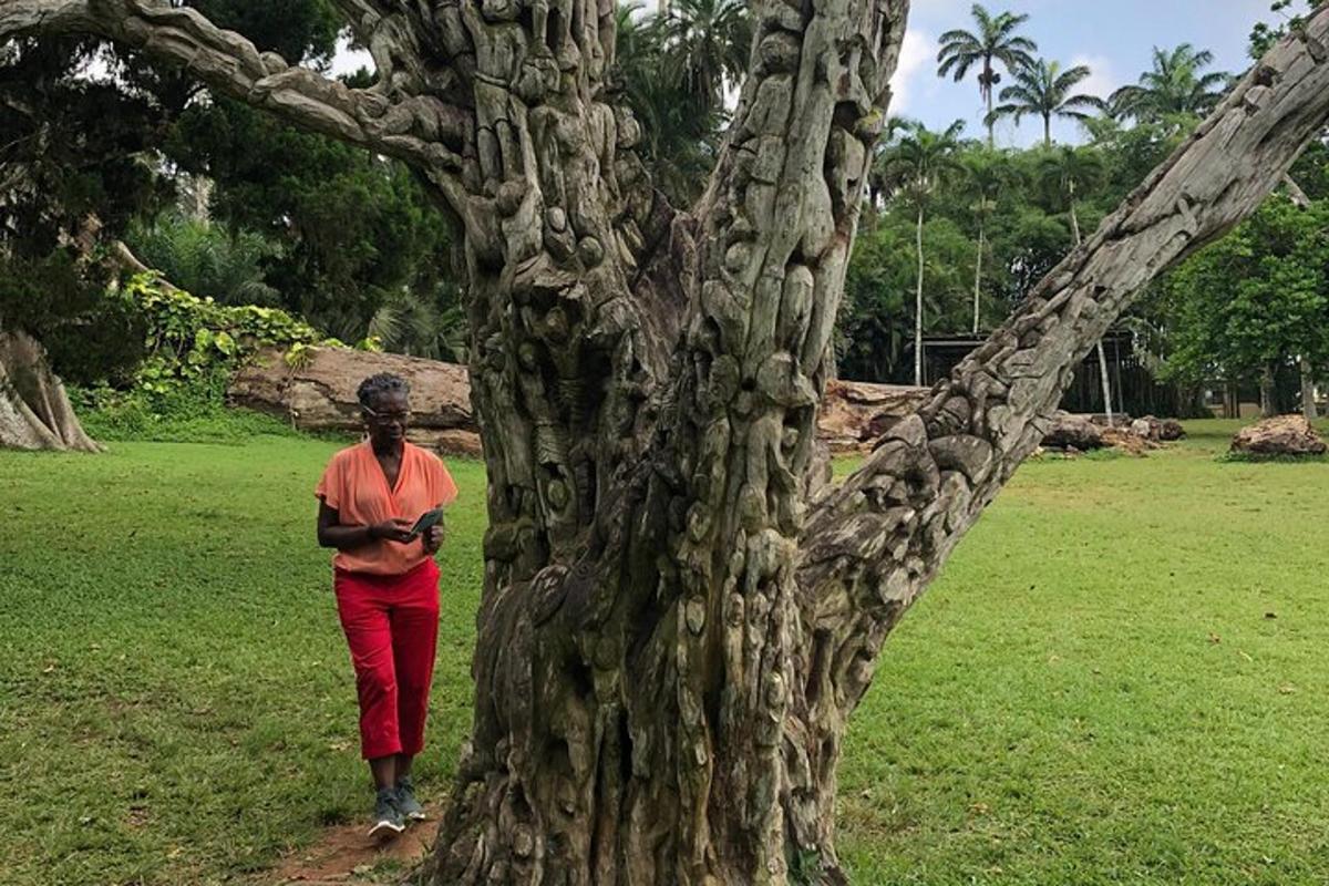 a man is standing next to a tree