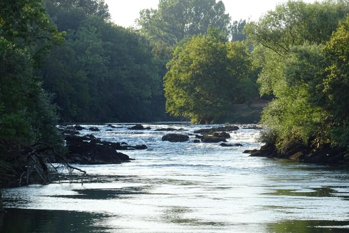 ein Fluss mit Felsen und Bäumen am Ufer