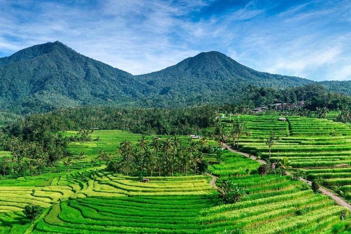 isang bukid ng mga berdeng pananim na may mga bundok sa background