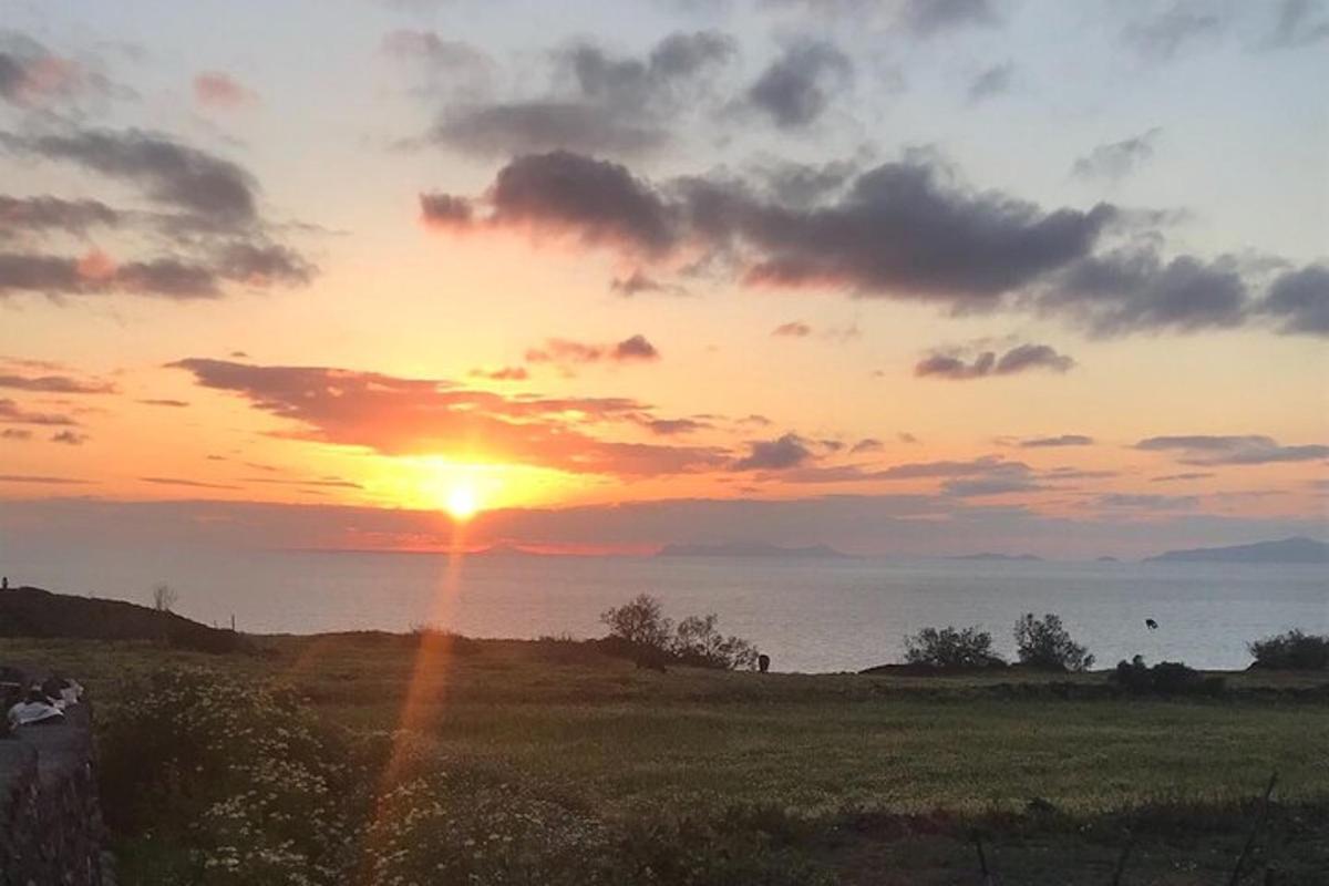 Una puesta de sol en un campo con el sol poniéndose sobre el agua