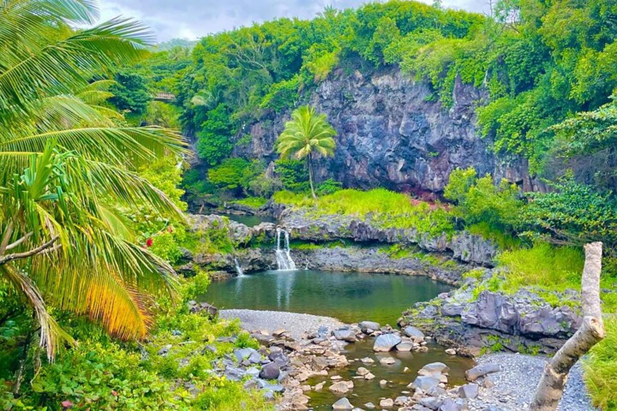 un estany d'aigua amb una cascada i palmeres
